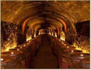wine cave del dotto
